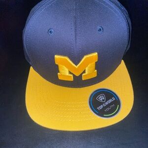 Michigan hat